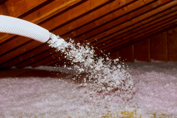 Best Insulation for Specific Applications in South Congaree, SC