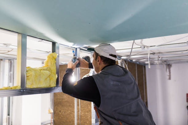 Best Residential Insulation in South Congaree, SC