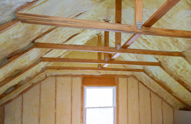 Best Blown-in Insulation in South Congaree, SC