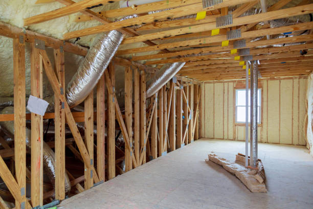 Best Specialized Insulation Services in South Congaree, SC