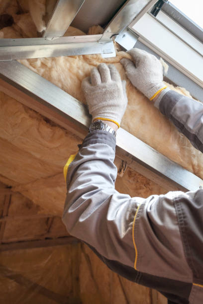Best Spray Foam Insulation in South Congaree, SC