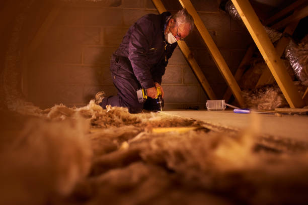 Best Eco-Friendly Insulation in South Congaree, SC